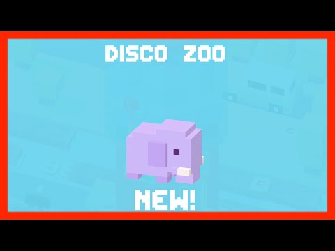 Disco Zoo Secrets Fasrapi